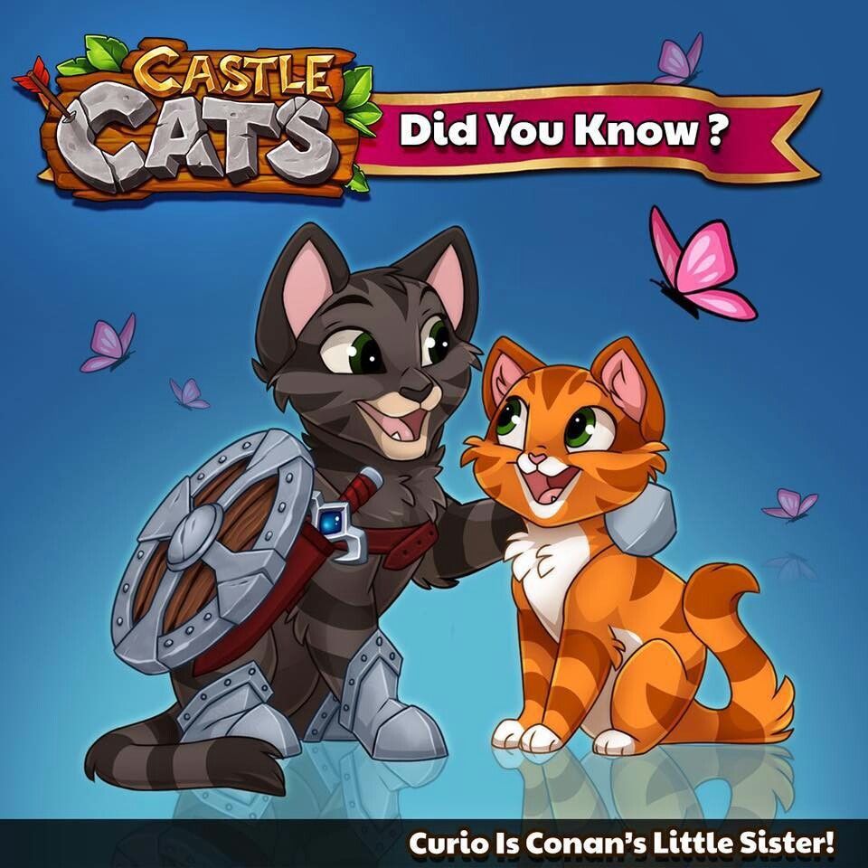 Картинки castle cats