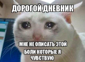 мем