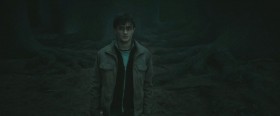 Гарри Поттер... Мальчик, который выжил... Пришел умереть.
