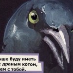 Свободная птица's user picture