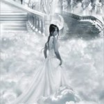 Sunny_Dream's user picture