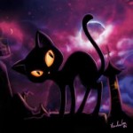 NightCat's user picture