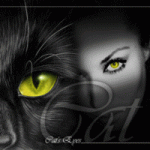 Кошка's user picture