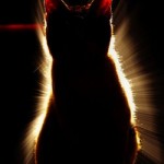 Светик-семицветик's user picture