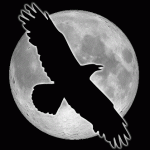 Raven_35's user picture