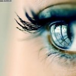 Anka23's user picture