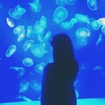 Наташа Вертикова's user picture