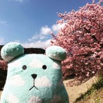 nstsazarenko's user picture
