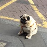 Любовь Статейкина's user picture