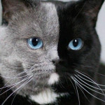 Milana Savcenko's user picture
